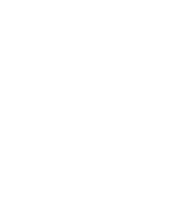 Qi Team Logo