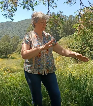 Práctica de Taichi en entorno natural durante curso EntEra
