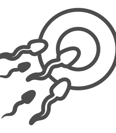 Fertilidade Masculina e Feminina