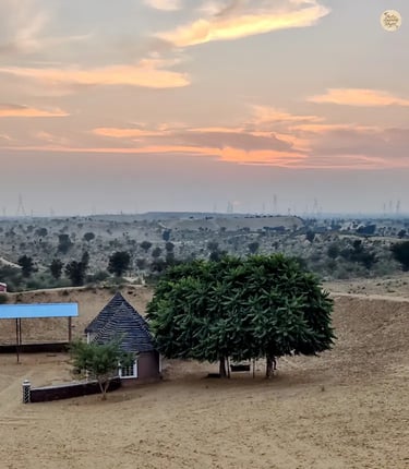 Raisar dunes in Bikaner glowing in the warm hues of sunset.