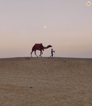 A camel in colorful attire walking through the Raisar dunes at dusk.