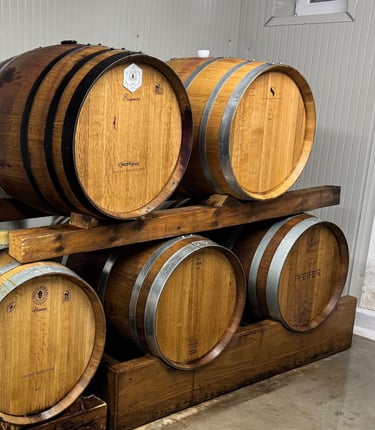 Holzfässer im Keller