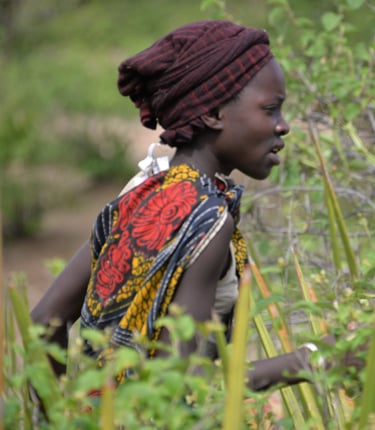 TagesausflügeTansania