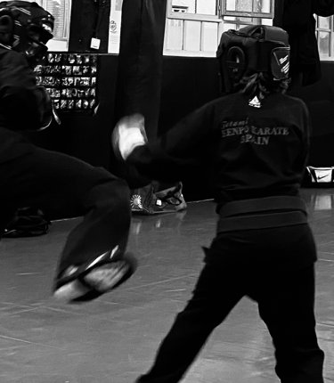 kenpo karate patada