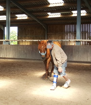 Personne handicapé moteur marche avec son cheval lors d'une séance d'équithérapie