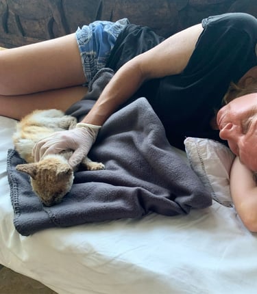 Fran sleeping on a couch with a sick cat