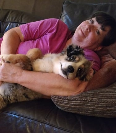 relaxing with laudrick aussie dog