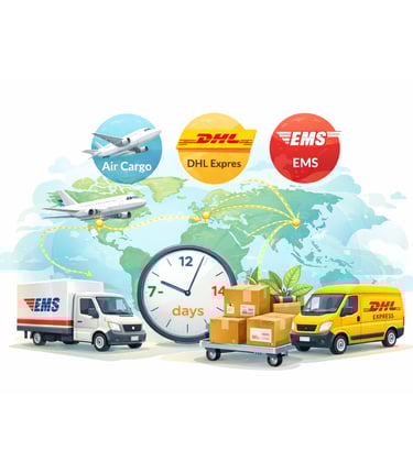 Illustration of worldwide Hoya plant shipping showing countries, DHL, EMS, air cargo, and delivery t