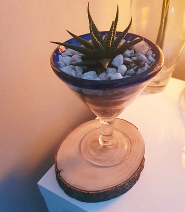 black craft by ck plant terrariums open terrarium sand plant sustainable nature hand crafted glass jar crystals independent
