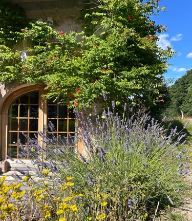 Gîte nature en pierre dans les Vosges.