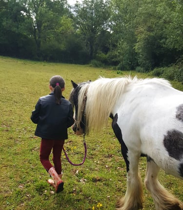 Enfant marche à côté de son poney lors d'une séance d'équithérapie