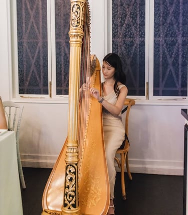 A harp solo performance for a wedding held at The Summerhouse restaurant