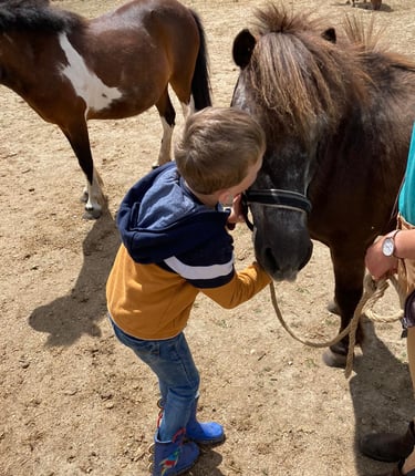 enfant faisant un bisous à son poney lors d'une séance d'équithérapie
