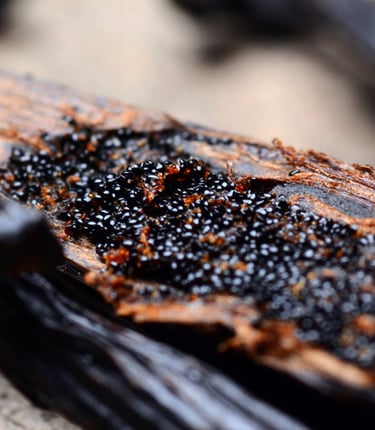 vanilla caviar