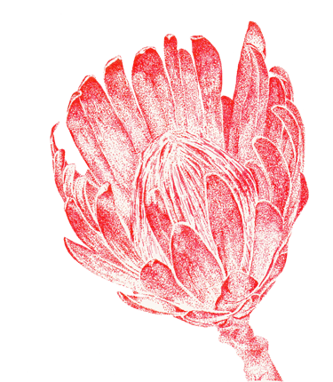 Fleur de couleur rouge dessinée en "DOT"