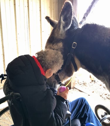 Personne âgée en fauteuil roulant à côté de son âne lors d'une séance d'équithérapie