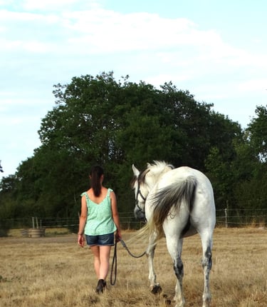 Jeune fille marchant avec son cheval lors d'une séance d'équithérapie