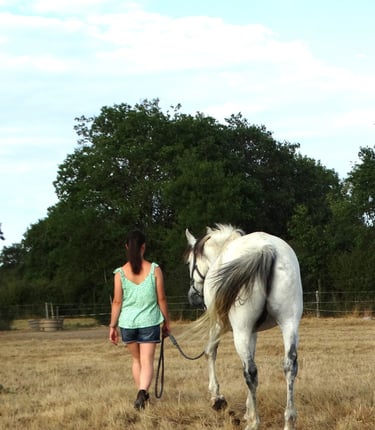 Jeune fille marchant avec son cheval lors d'une séance d'équithérapie