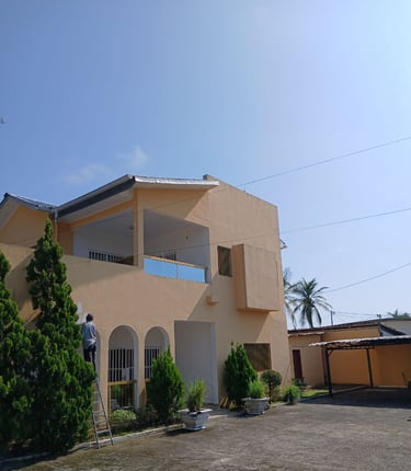 a man is painting a house with a ladder