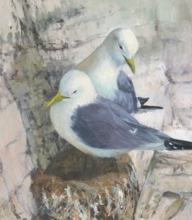Oil study of two Kittiwakes perched on Bempton Cliffs UK
