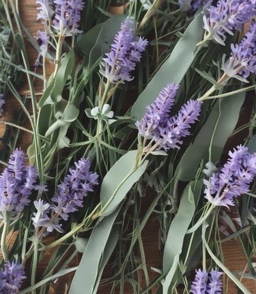 A serene close-up of lavender and silver dollar eucalyptus foliage bathed in soft natural light.