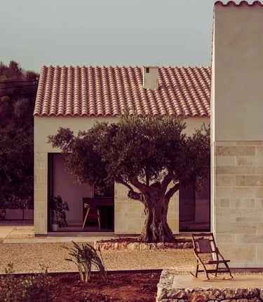 maset i casa de campo con olivar