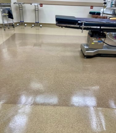 HOSPITAL AND OPERATING ROOM SANITATION PRECISION CLEANING SERVICES