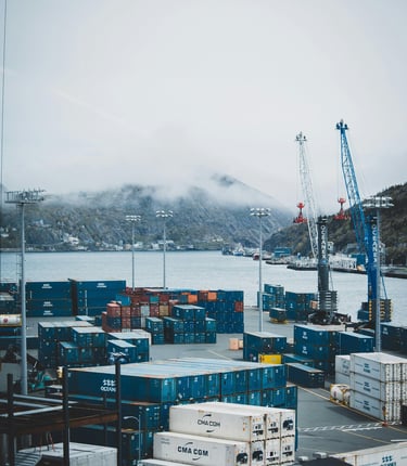 Shreempex | contact | Import | export 