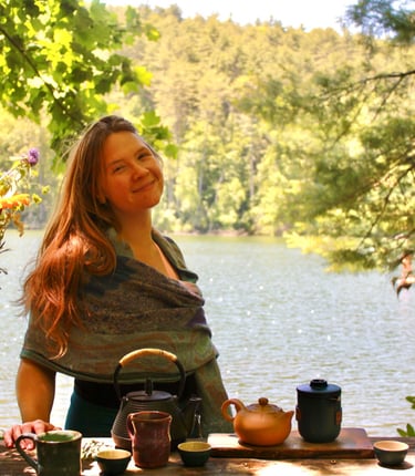 Professional organizing and decluttering services in Western North Carolina