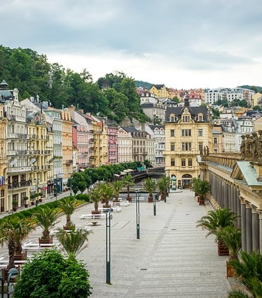 A city street with buildings and trees, showcasing our journey packages.
