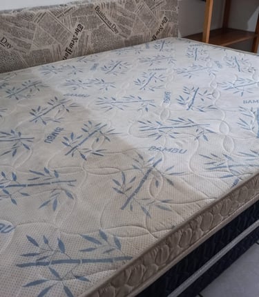 Higienização Limpeza de Colchão em Matinhos