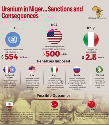 Infographic showing sanctions and responses by US, EU, UN, Russia, Iran to Niger coup. African Narratives