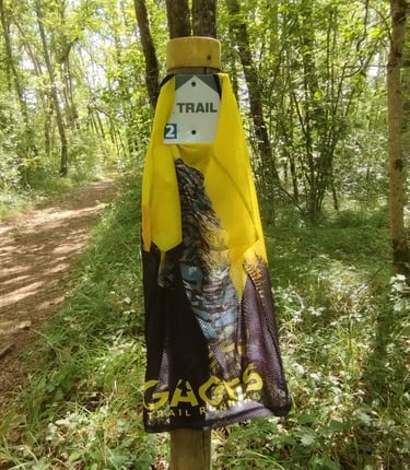 un maillot de courreur du GTR acroché à un arbre