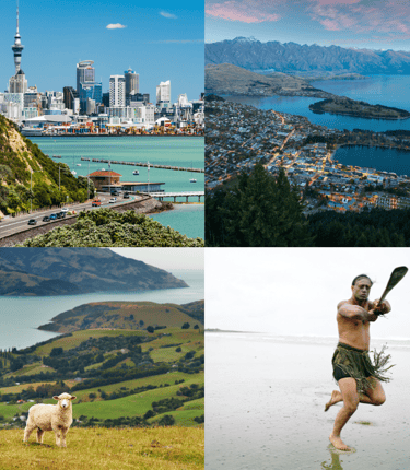 study and work in New Zealand