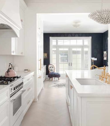 A modern central walk-way galley kitchen in Parkdale/West Queen West