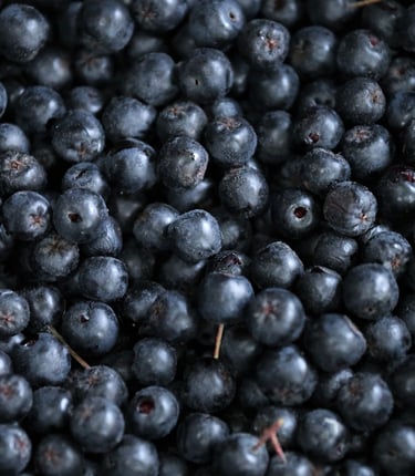 a bunch of aronias are shown in this picture