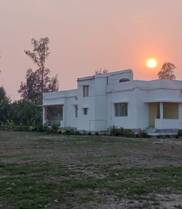 Sunset at Daisy