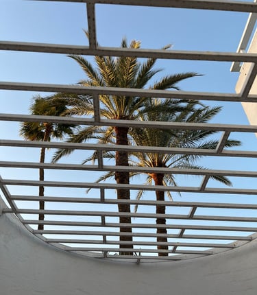 Palm trees behind a railing