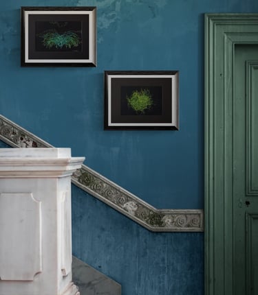 The “Points d’attaches” was created between 2020 and 2021. This is the very first collection in whic