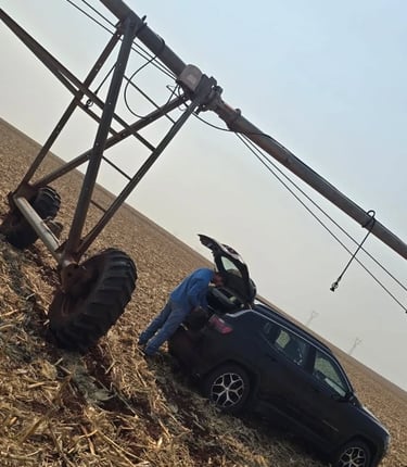 Irrigação em Holambra II