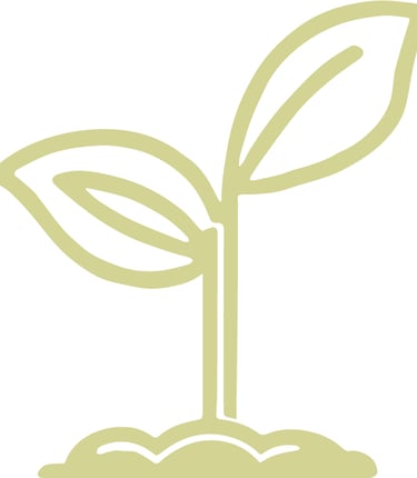 a plant with a leafy sprout on top of a pile of dirt