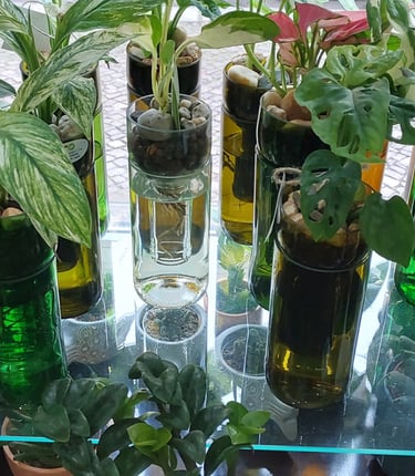 handgefertigte Hydropflanzengläser