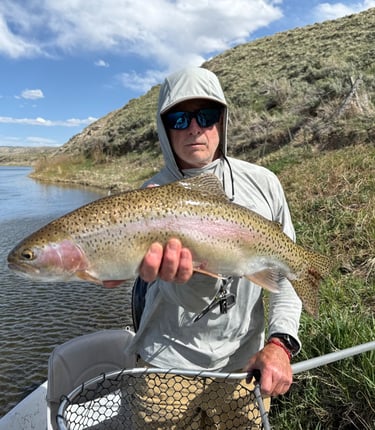 Bob Needles Stoney Creek Guides