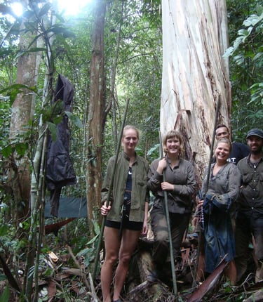 a group of people standing behind a big tree inside the jungle