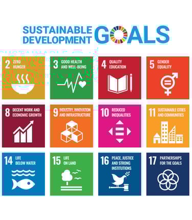 Sustainable Development Goals UN