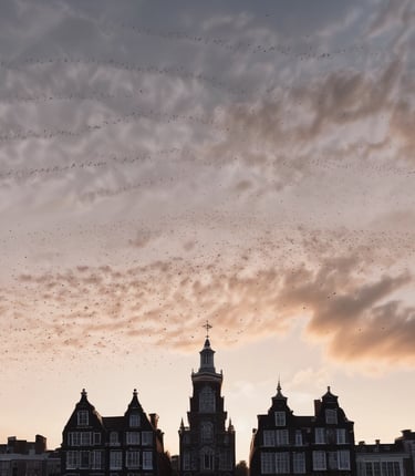 We vinden steun bij elkaar zoals vogels in de lucht