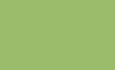 Solid sage green color background swatch