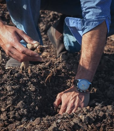 About Matthieu Mehuys | Regenerative Landscape Architect