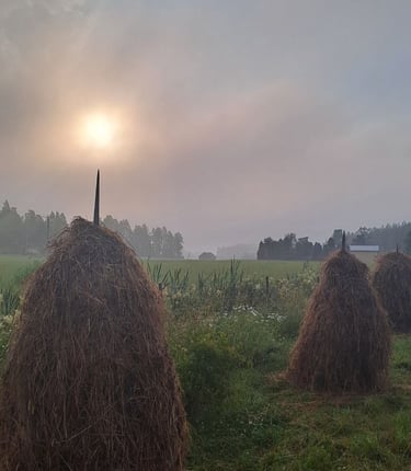 Heinäseipäitä Elonkehdon luonnonläheisessä maalaismaisemassa