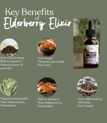 Earthley Elderberry Elixir Ingredients